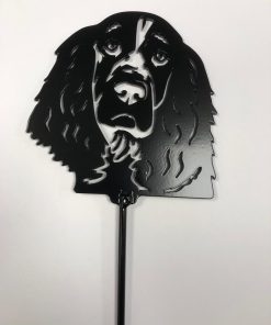 Plant Pot Spike Springer Spaniel Face